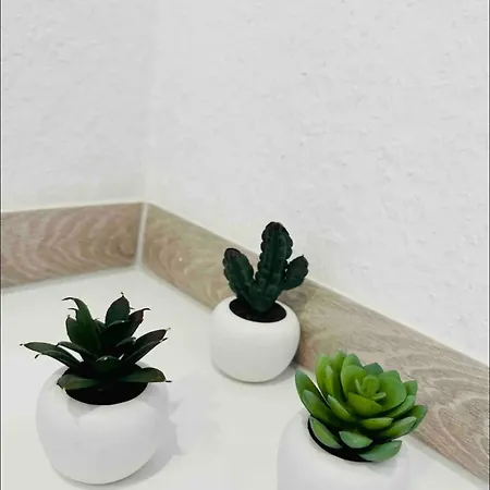 Zentral Gelegenes Und Stilvoll Moebliertes In Nur 5 Minuten Vom Hbf Und City, Ideal Fuer Pendler Und Messebesucher 公寓 *