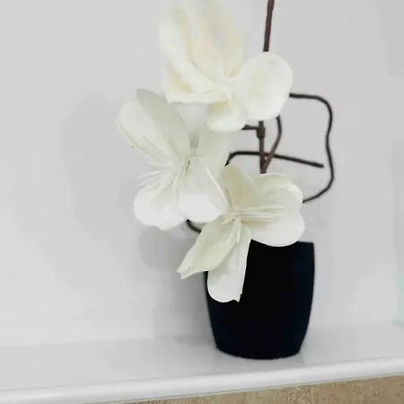 Zentral Gelegenes Und Stilvoll Moebliertes In Nur 5 Minuten Vom Hbf Und City, Ideal Fuer Pendler Und Messebesucher 公寓 *