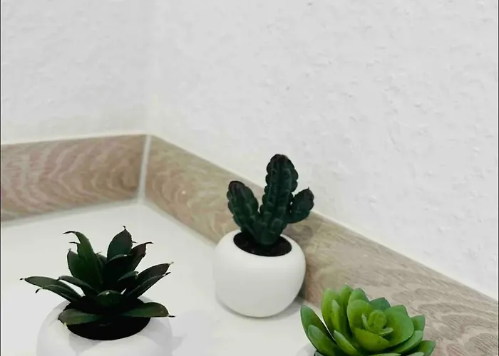 Apartment Duisburg Hbf Zentrum Business Messe Duesseldorf Lejlighed *