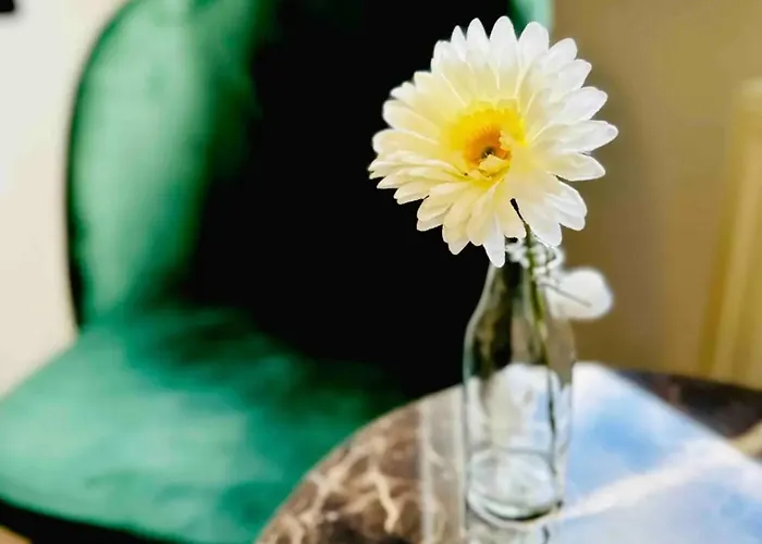 Apartment Duisburg Hbf Zentrum Business Messe Duesseldorf Lejlighed Duisburg