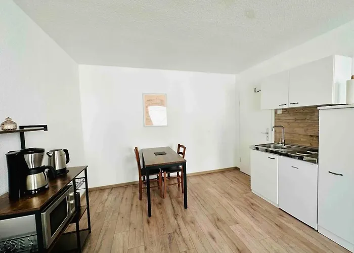 Apartment Duisburg Hbf Zentrum Business Messe Duesseldorf Lejlighed Duisburg